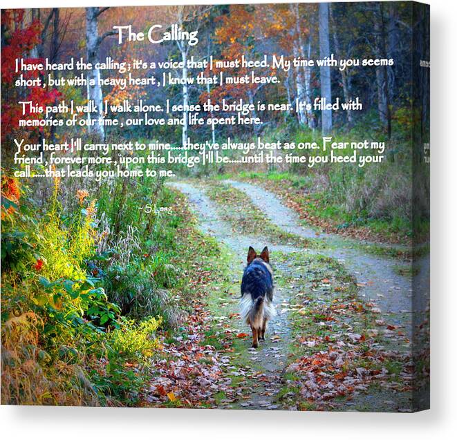 Quotes Canvas Print featuring the photograph Paw Prints The Calling by Sue Long