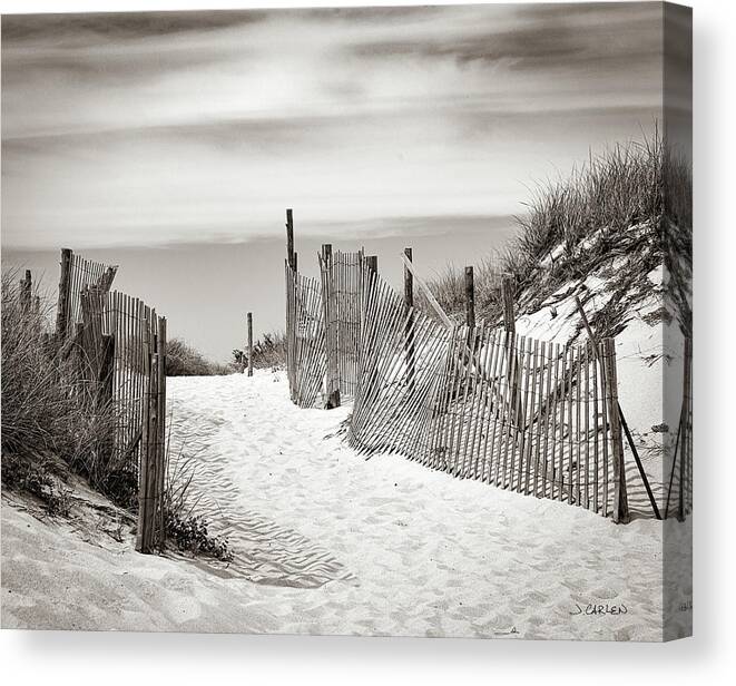 Beach Canvas Print featuring the photograph Beach Walk by Jim Carlen