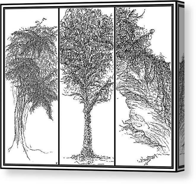 Treescapes Canvas Print featuring the drawing Treescapes B-W - drawing by VIVA Anderson