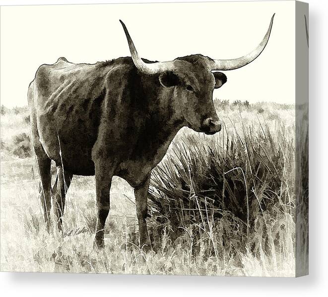 Bill Kesler Photography Canvas Print featuring the photograph Mama Longhorn by Bill Kesler