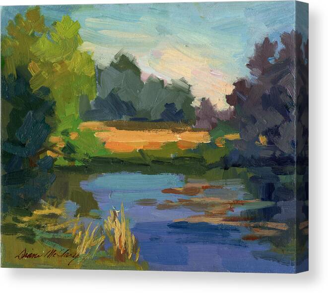 Lake Canvas Print featuring the painting A Patch of Sun by Diane McClary