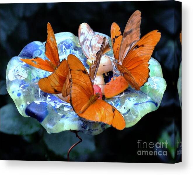 Butterfly Canvas Print featuring the digital art Butterflies by Dale  Ford