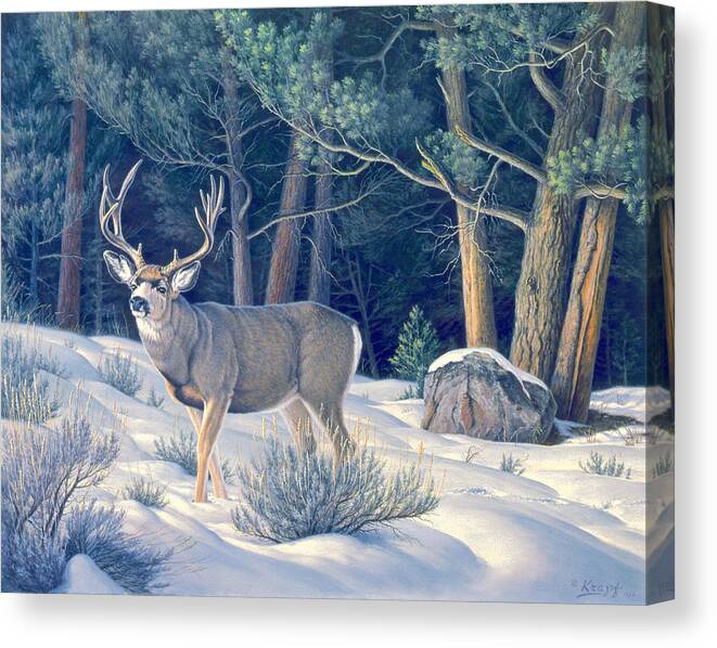 Wildlife Canvas Print featuring the painting Confrontation - Mule Deer Buck by Paul Krapf