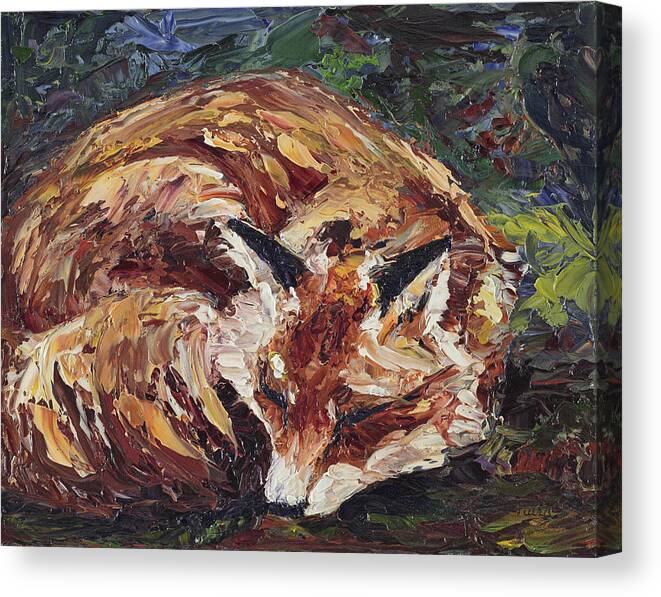 Fox Canvas Print featuring the painting Fox Asleep by Dale Bernard