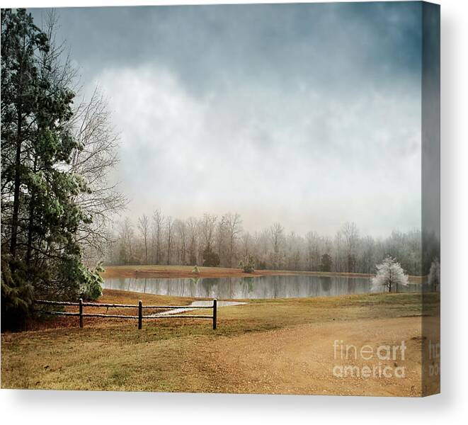 Winter Canvas Print featuring the photograph Frostbitten by Jai Johnson