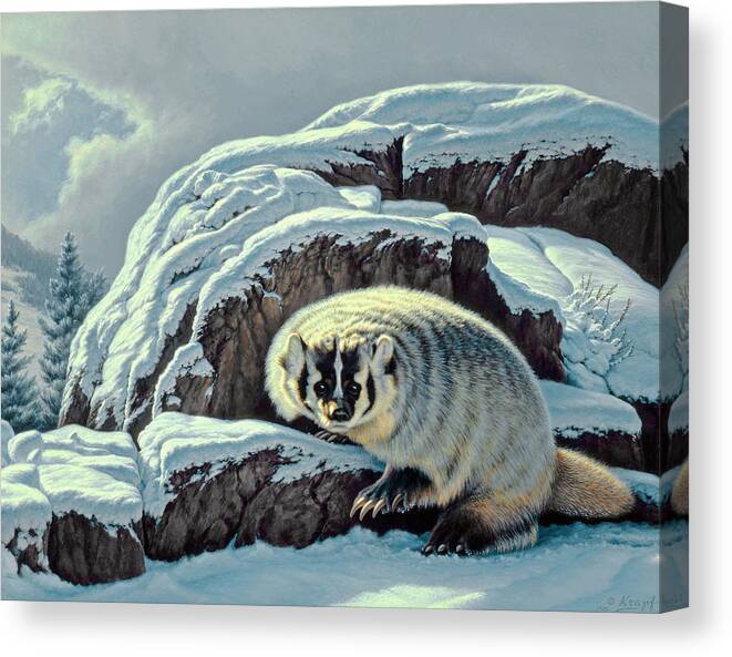 Wildlife Canvas Print featuring the painting Intrusion - badger by Paul Krapf