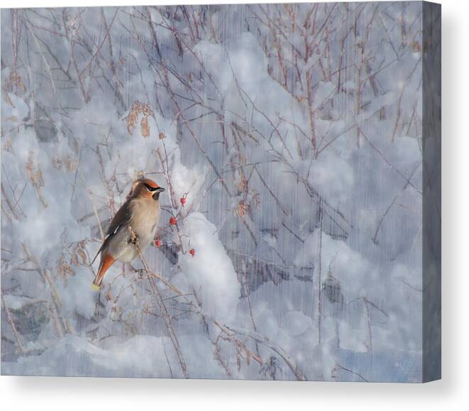 Bird Canvas Print featuring the photograph Permanent Residence by Gigi Embrechts