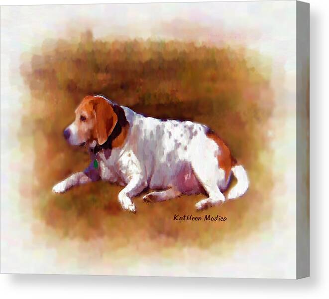 Beagle Art Paintings Canvas Print featuring the photograph Sunbathing by Kathleen Modica