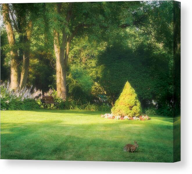 Morning Canvas Print featuring the photograph Sunlit Greens by Joe Winkler