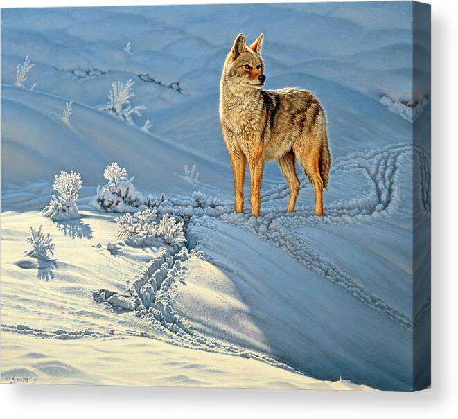 Wildlife Canvas Print featuring the painting the Coyote - God's Dog by Paul Krapf