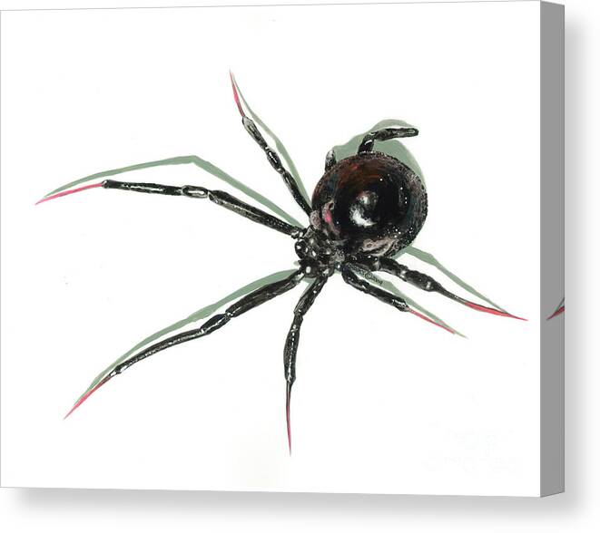 Spider Canvas Print featuring the painting The Devil Wears Pink Toe Nails. by Richard Brooks