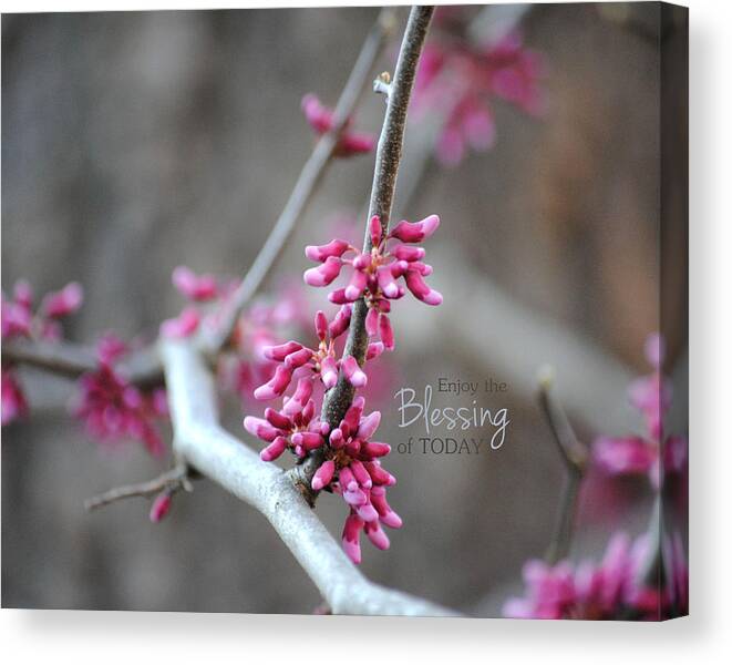 Blessing Canvas Print featuring the photograph Blessing by Jai Johnson