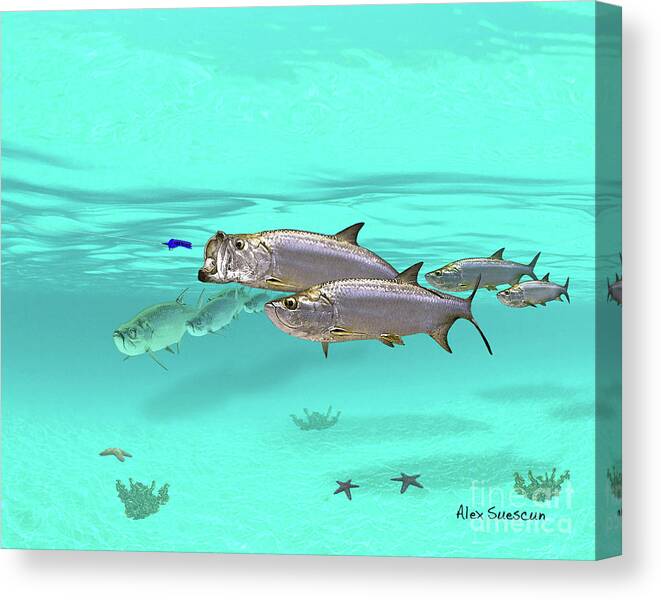 Bonefish Canvas Print featuring the painting Incoming by Alex Suescun