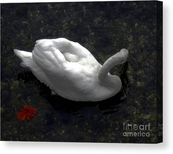 Seabirds Canvas Print featuring the digital art Swan With Leaf by Dale  Ford