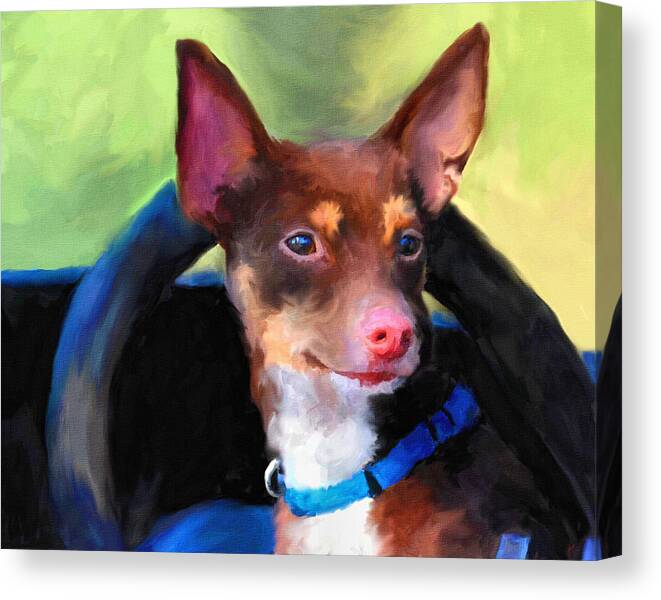 Rat Terrier Canvas Print featuring the painting Driver's Seat by Jai Johnson