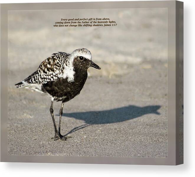 Bicentennial Beach Park Canvas Print featuring the photograph James 1 17 by Dawn Currie