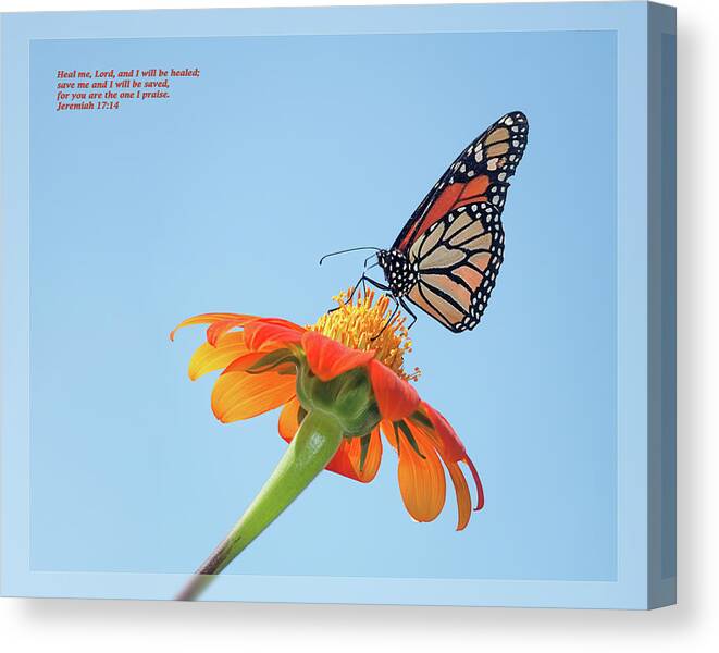 Daily Scripture Canvas Print featuring the photograph Jeremiah 17 14 by Dawn Currie
