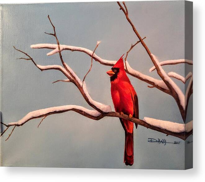 Birds Canvas Print featuring the painting Last snow of winter, Cardinal by Dana Newman