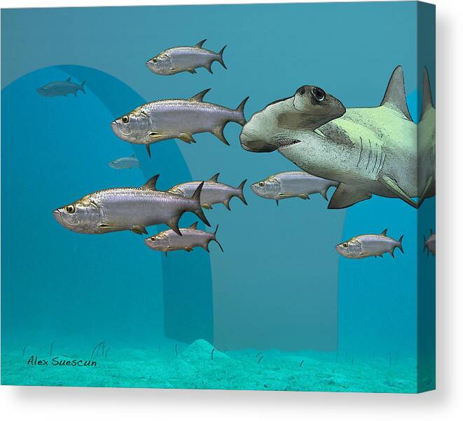 Shark Canvas Print featuring the painting Old Hitler by Alex Suescun