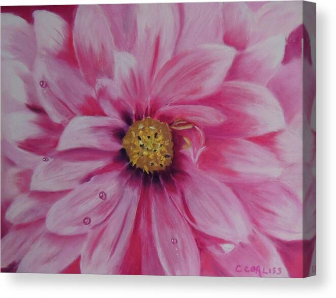 Garden Canvas Print featuring the pastel Pink Dahlia I by Carol Corliss