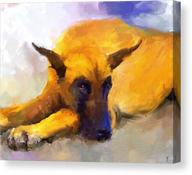 Great Dane Canvas Print featuring the painting Resting by Jai Johnson