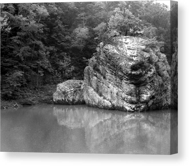 Rock Canvas Print featuring the photograph Rock by Curtis J Neeley Jr