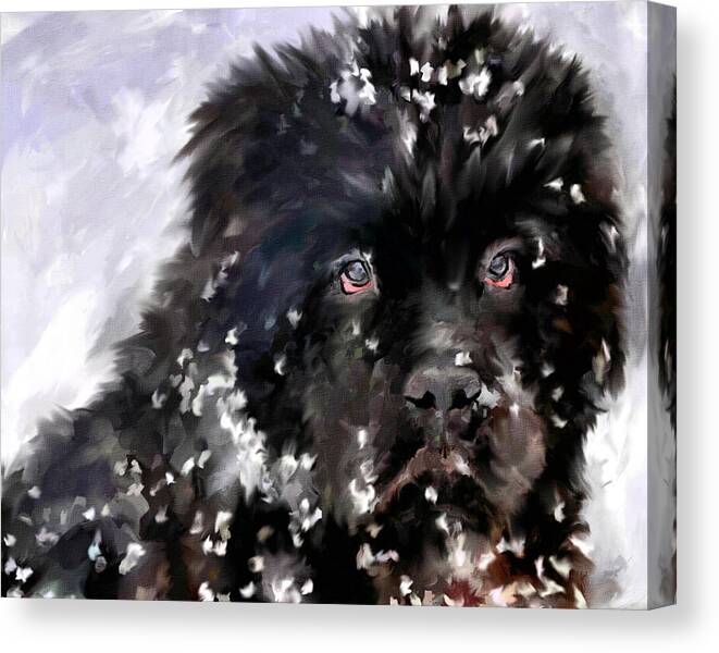 Newfoundland Canvas Print featuring the painting Snow Play by Jai Johnson