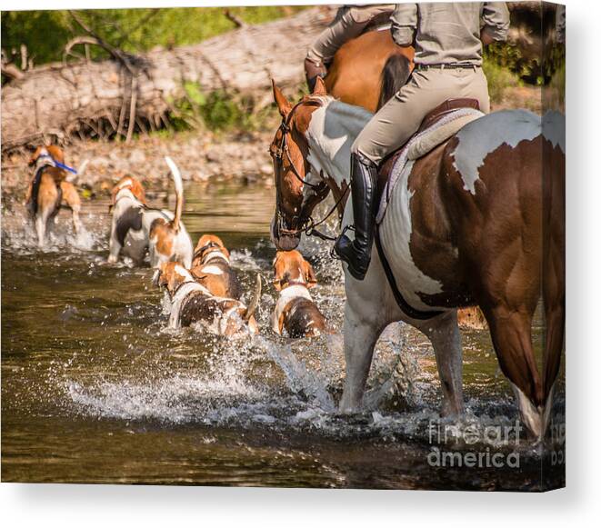Hounds Canvas Print featuring the photograph The Crossing by Pamela Taylor