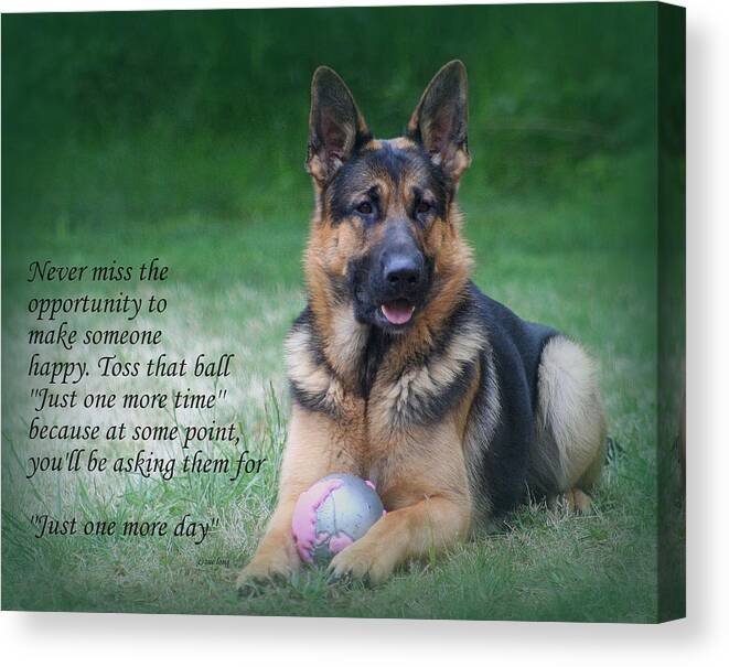 Quote Canvas Print featuring the photograph Toss That Ball by Sue Long