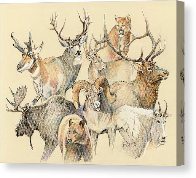 Wildlife Canvas Print featuring the painting Western heritage by Steve Spencer
