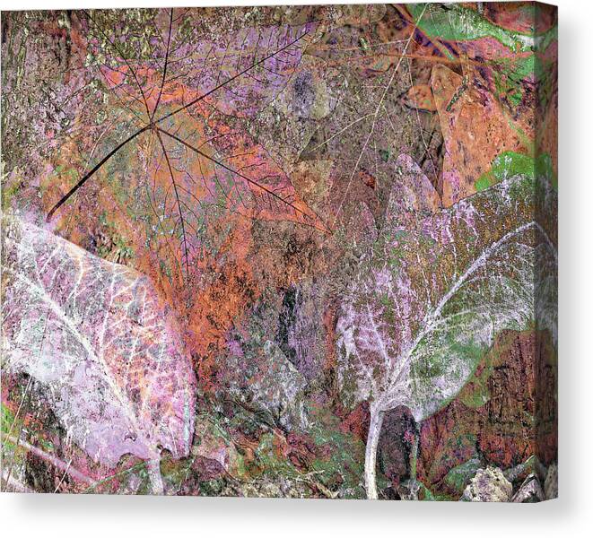 Digital Composite Canvas Print featuring the digital art Leaves and Wood No 2 by Sandra Selle Rodriguez