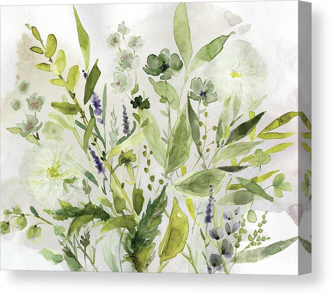 Greens Watercolor Garden Foliage Leaves Contemporary Canvas Print featuring the painting Olive Garden by Carol Robinson