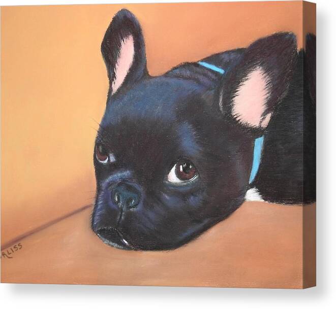 Dog Canvas Print featuring the pastel This Is Max by Carol Corliss