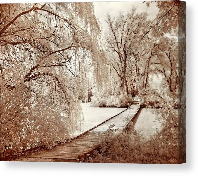 Viking Park Canvas Print featuring the photograph Norsk Gangsti - Norwegian Footpath - Infrared film image of bridge in Viking park near Stoughton WI by Peter Herman