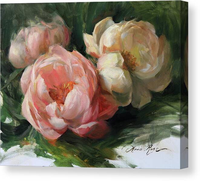 Peonies Canvas Print featuring the painting Pale Peonies by Anna Rose Bain
