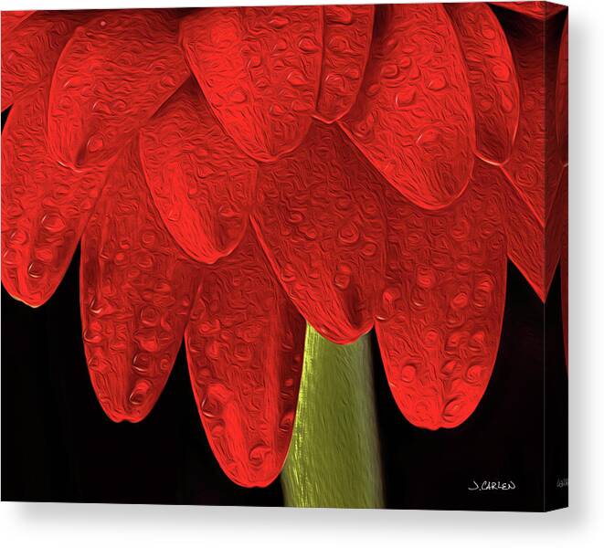 Flowers Canvas Print featuring the photograph Dripping Red by Jim Carlen