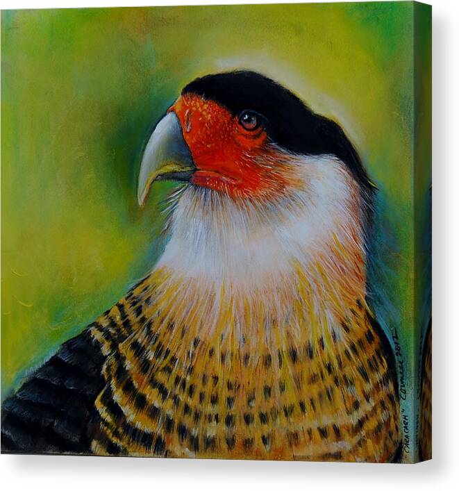 Predator Canvas Print featuring the drawing CaraCara by Jean Cormier