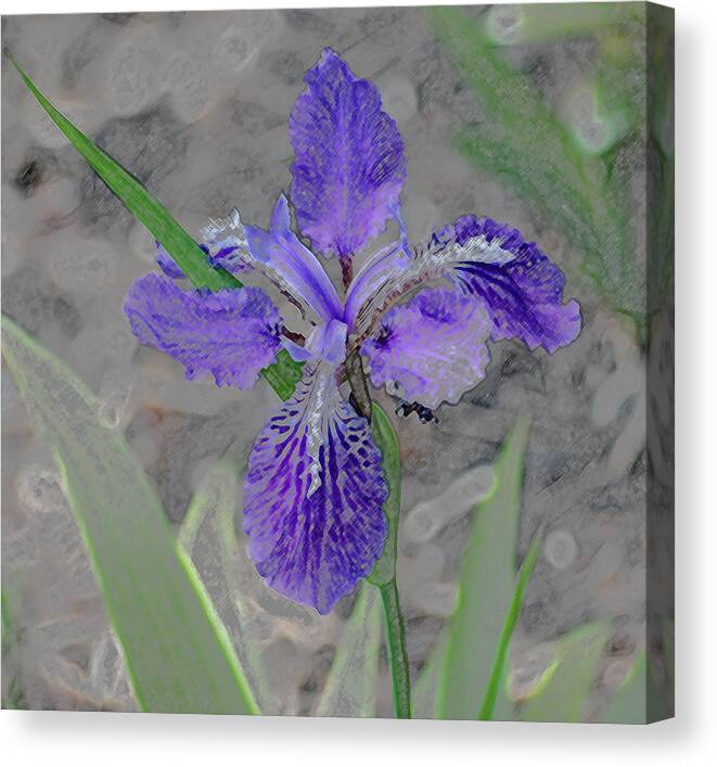 Iris Canvas Print featuring the digital art Purple Rain II by Don Wright