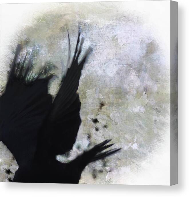  Canvas Print featuring the photograph Crow Fly by Stoney Lawrentz