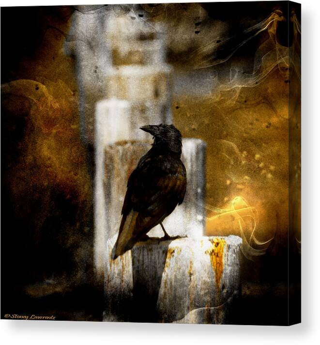 Crow Canvas Print featuring the photograph Crow in Shadows by Stoney Lawrentz