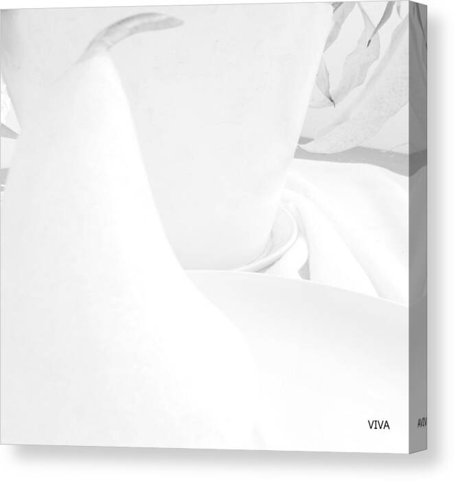 White Canvas Print featuring the photograph W H I T E by VIVA Anderson