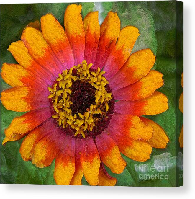 Flower Canvas Print featuring the photograph Flower by Jeff Breiman