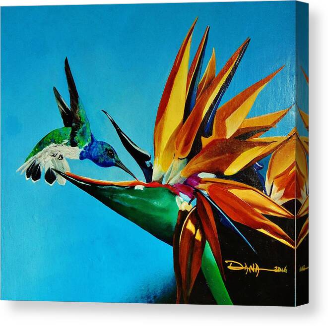 Birds Canvas Print featuring the painting Birds of Paradise with White necked Jacobin hummingbird by Dana Newman