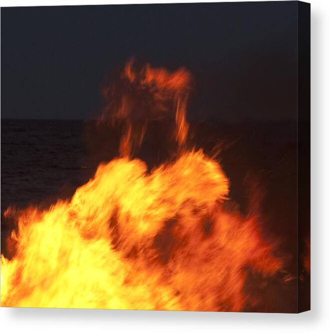 Fire Canvas Print featuring the photograph Eternal Life by Steven Natanson
