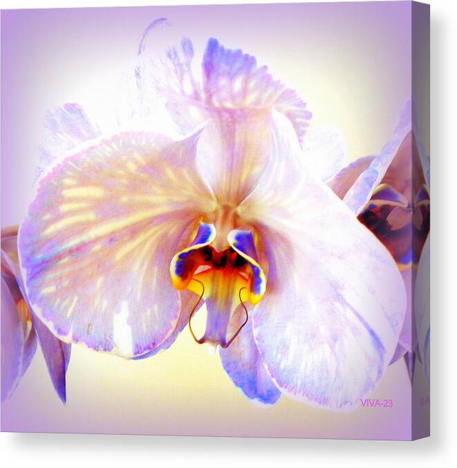 Purple Canvas Print featuring the photograph Orchid-beautiful 23 by VIVA Anderson