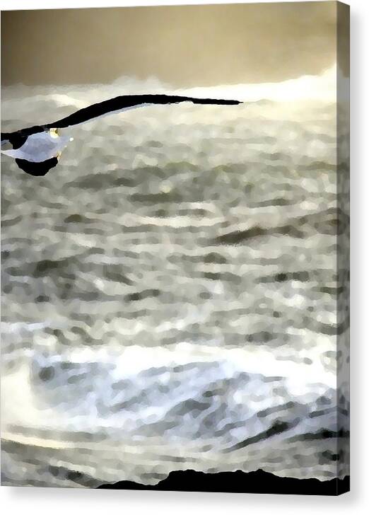 Seagull Canvas Print featuring the photograph Seagull And Surf 9864 PK by Jerry Sodorff