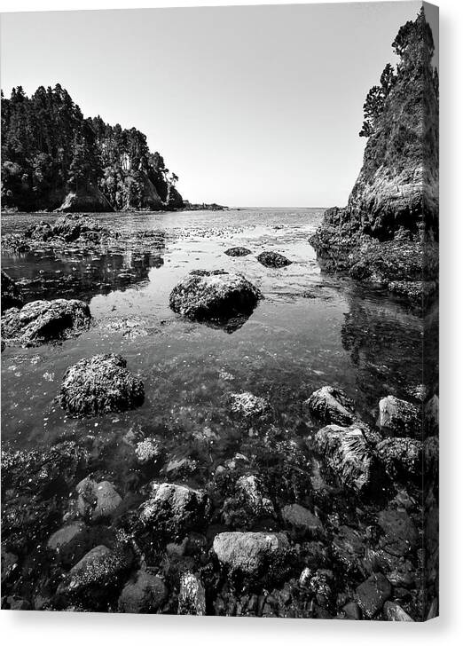 Beach Canvas Print featuring the photograph Rocky California Coast by Mike Fusaro