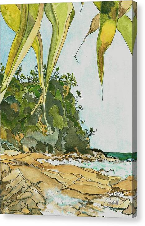 Australian Coastal Landscape Canvas Print featuring the painting Coolum Pandanus by Joan Cordell