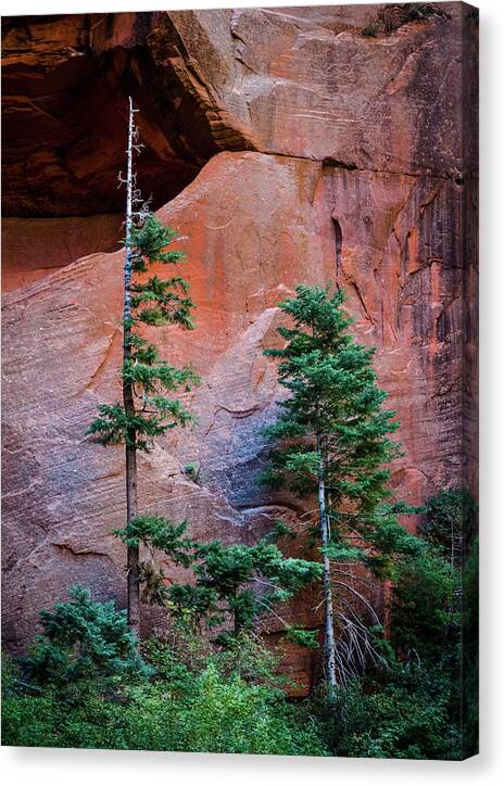 Zion Canvas Print featuring the photograph Zion National Park #1 by Al White