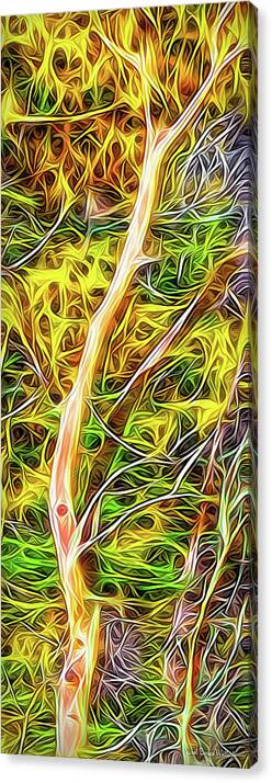 Joelbrucewallach Canvas Print featuring the digital art Flowing Trees - Abstract by Joel Bruce Wallach